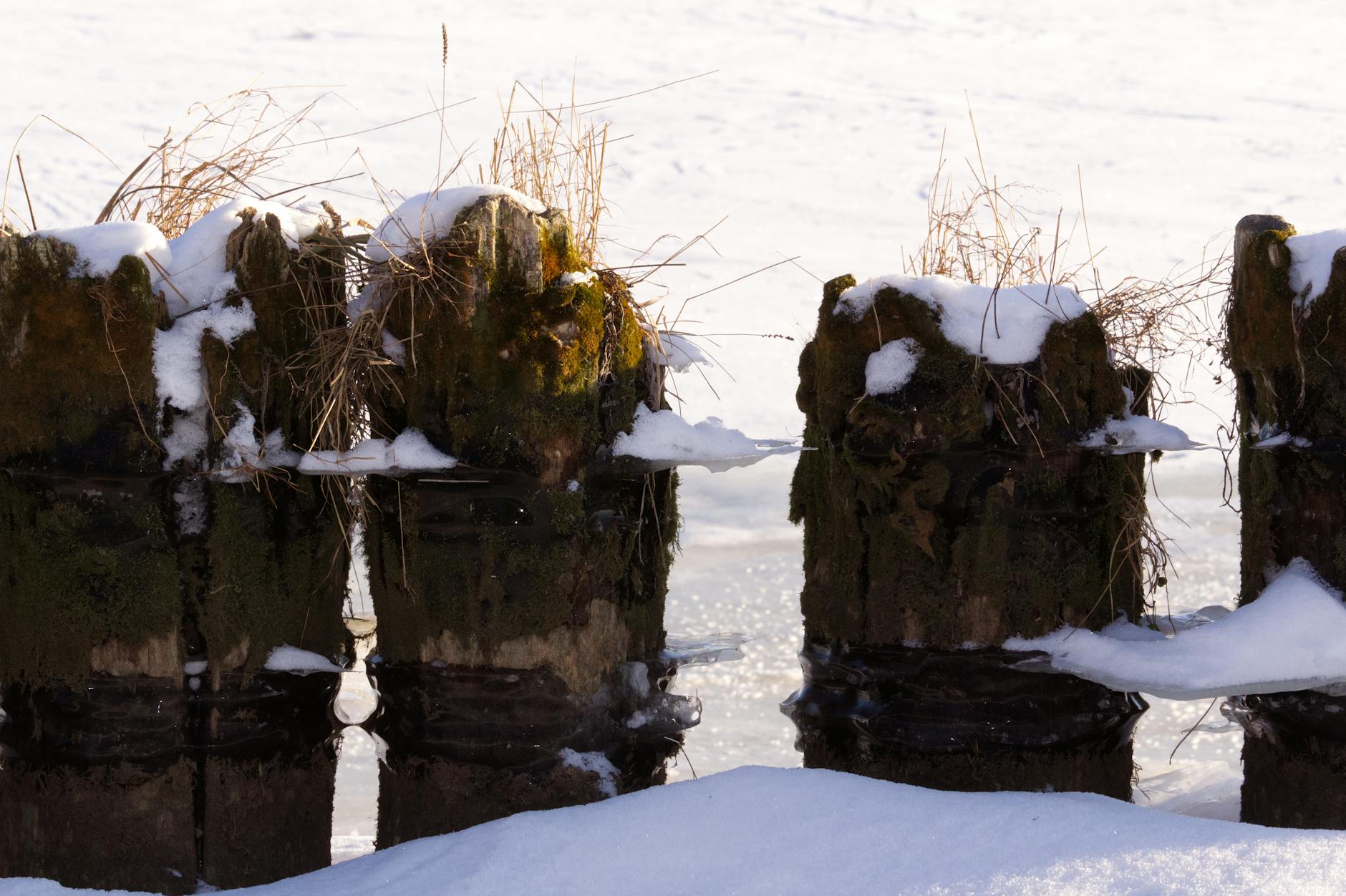 Why Do Hormonal Fluctuations Cause Sudden Acne Flare-Ups?