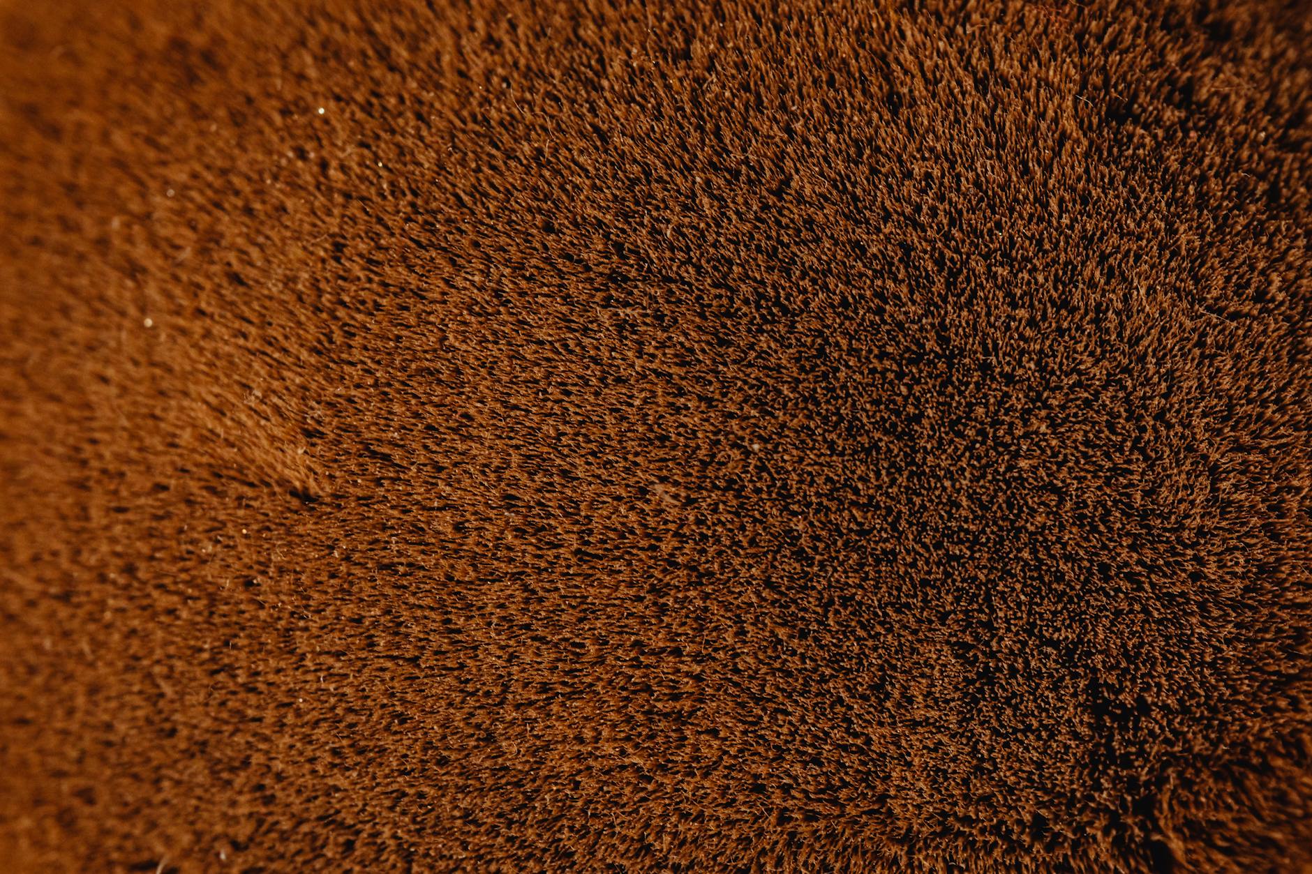 Why Does Collagen Density Change How Lasers Work on Fibrous Scars?