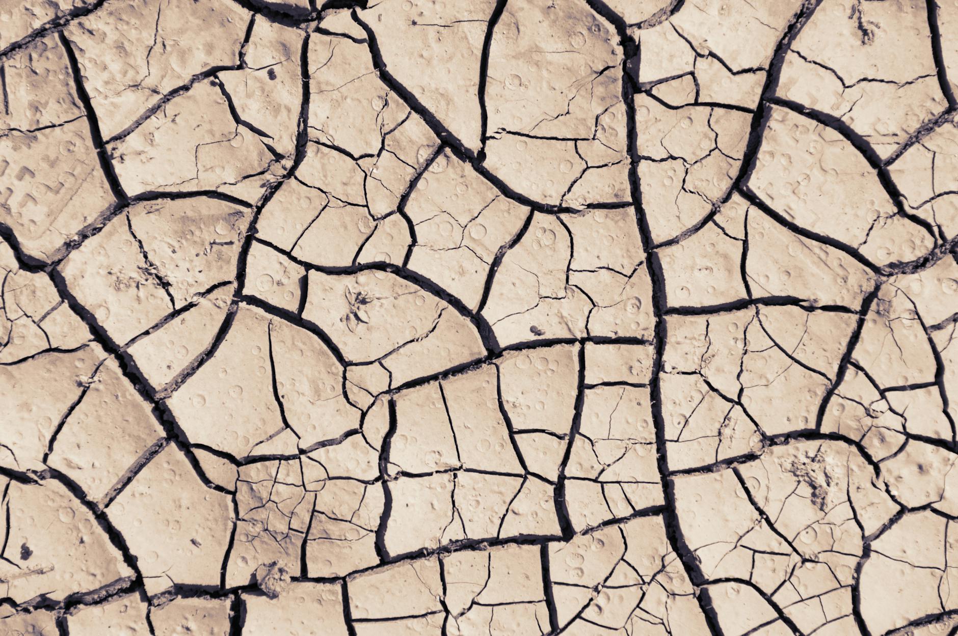 Why Does Dry Climate Make Acne-Prone Skin Worse?