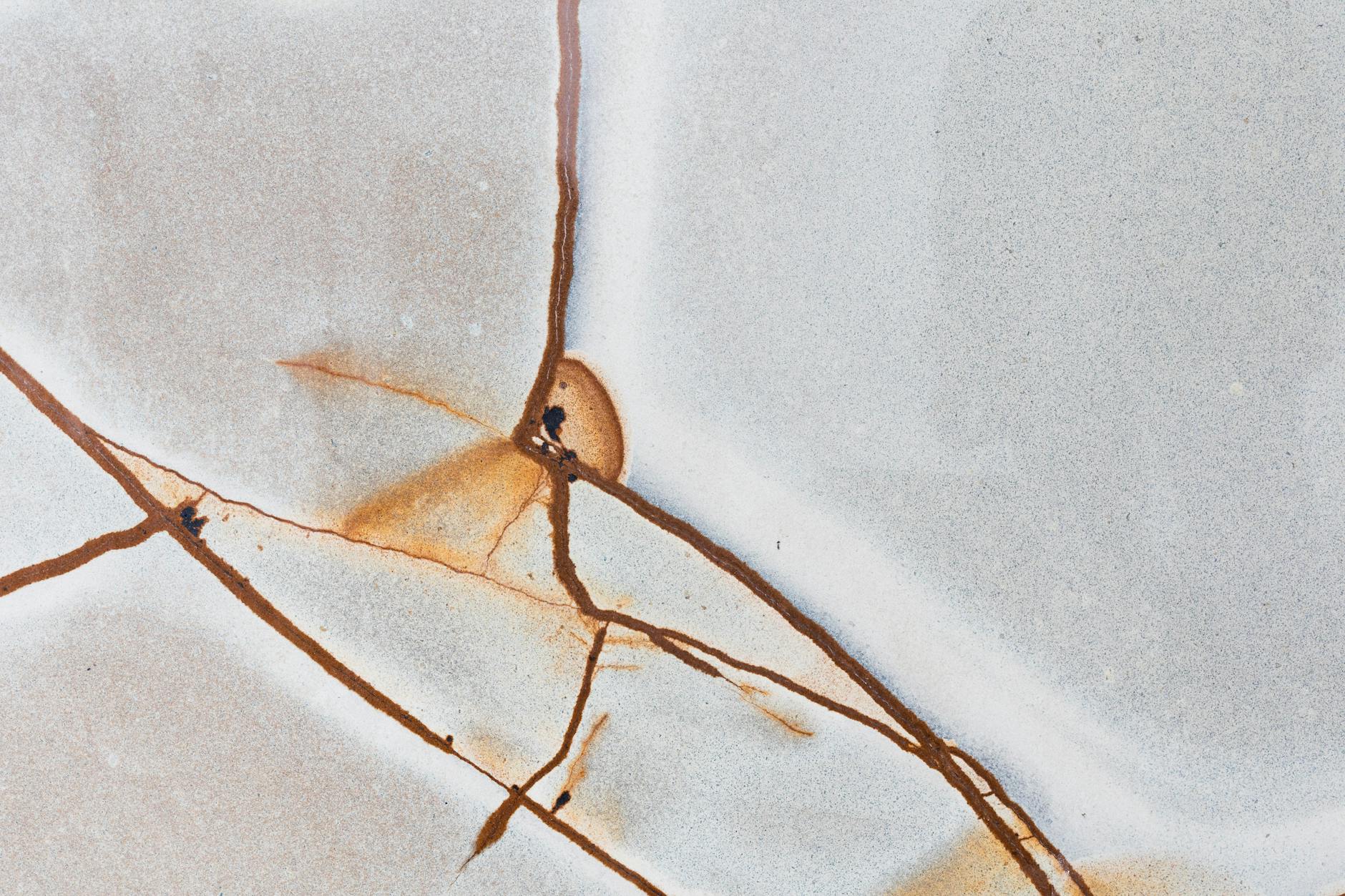 Why Does Inflammation Persist After Acne Bacteria Dies?