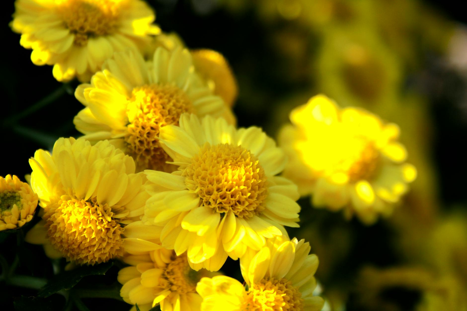 Why Does Summer Heat Trigger More Acne Breakouts?