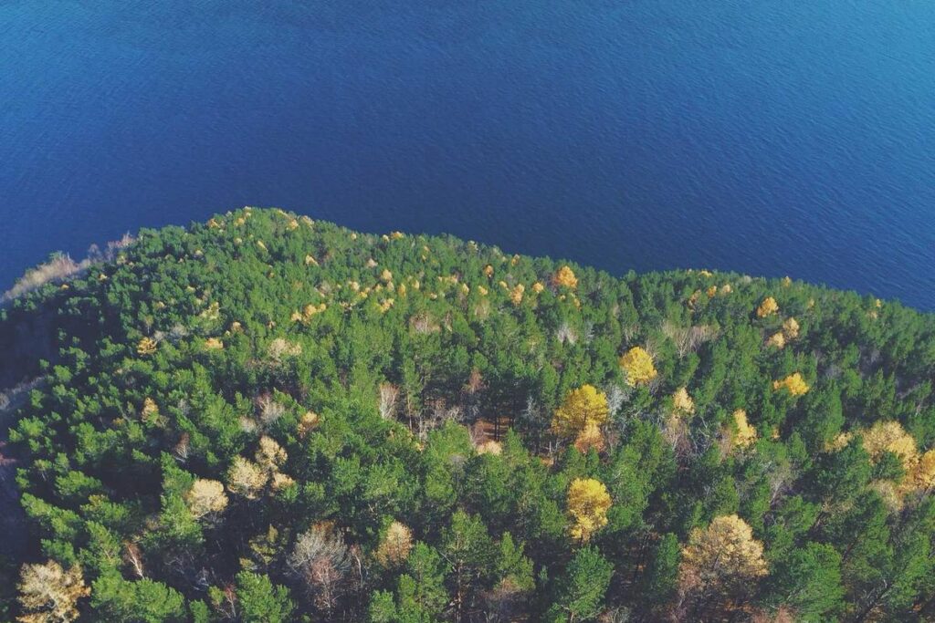 Image for Why Gut Infections Lead to Skin Breakouts Months Later