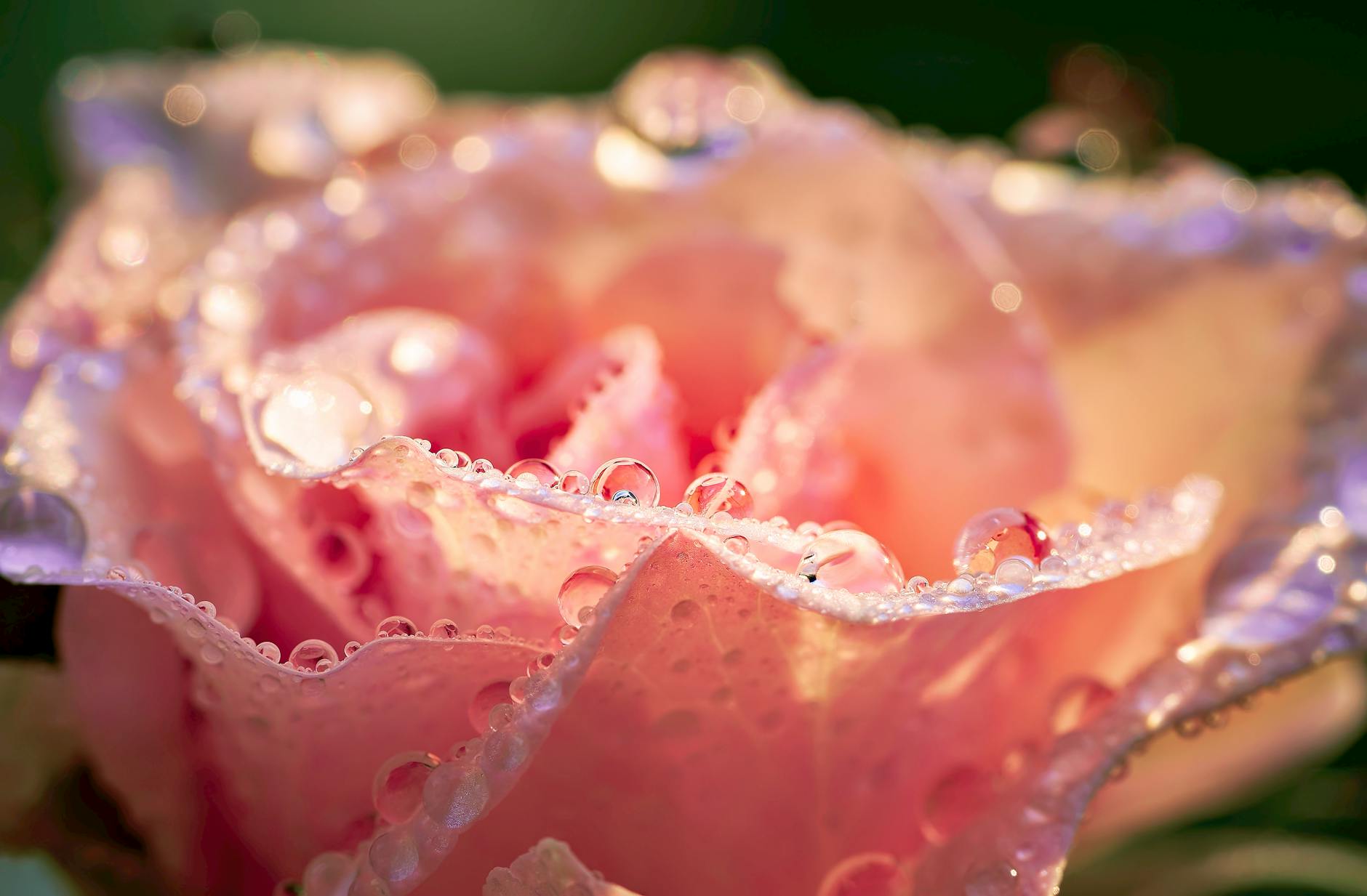 Why Morning and Night Acne Routines Have Different Purposes