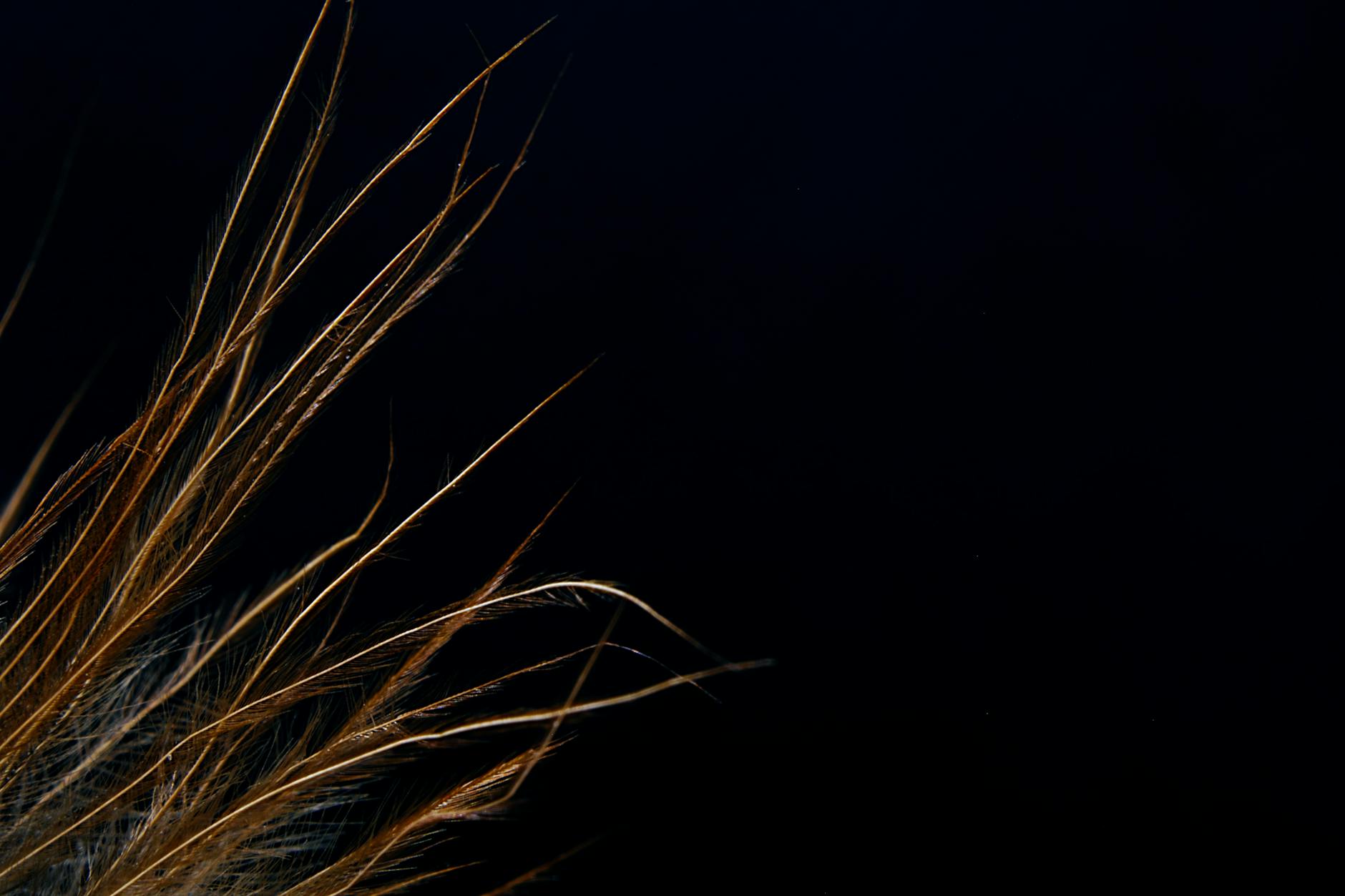 Why pH Balance and Mild Surfactants Matter for Sensitive Acne Skin