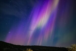 Why Polarized Light Photography Shows PIE Better Than Standard Photos - Featured image