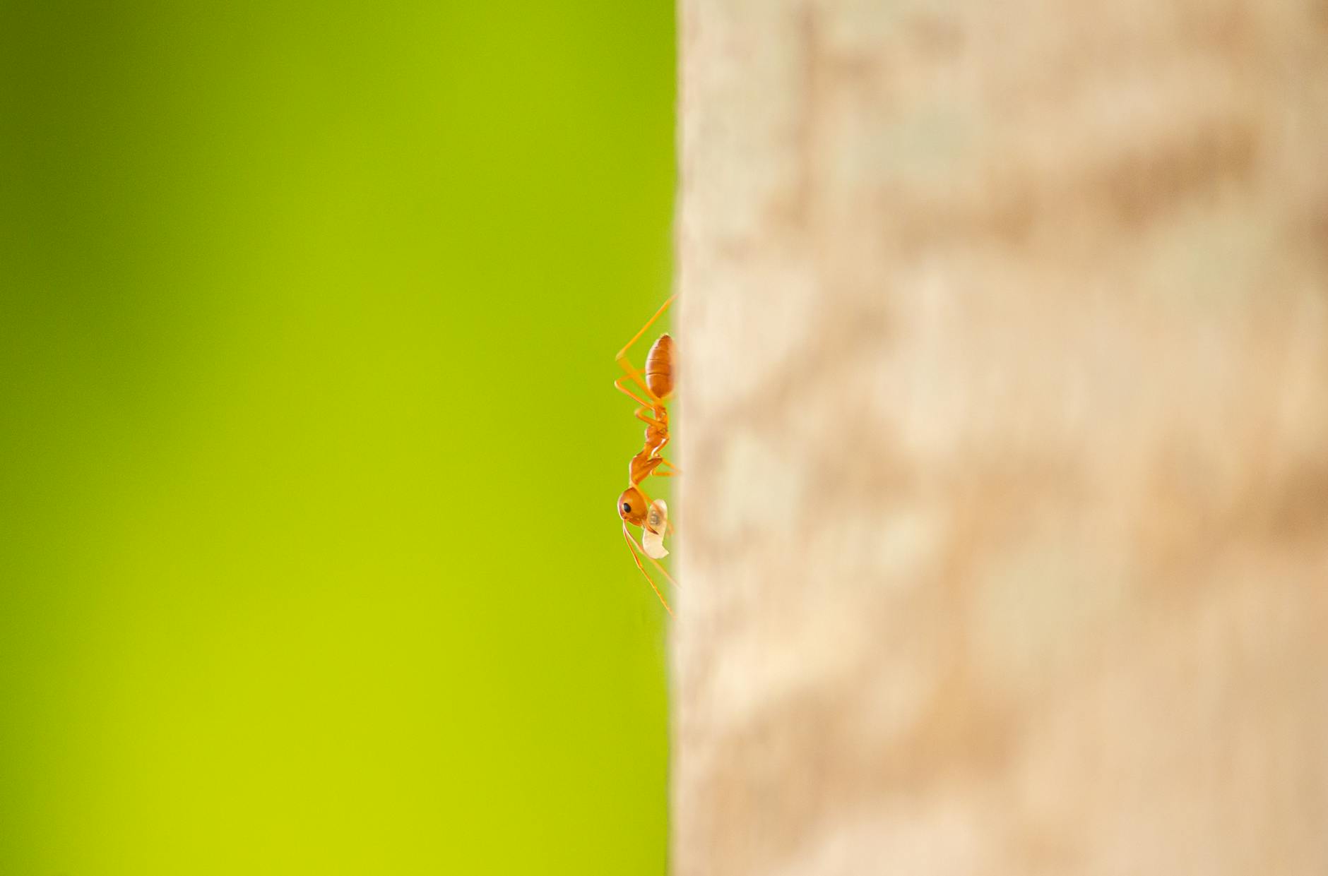 Why Single Subcision Treatments Aren't Enough for Atrophic Scars