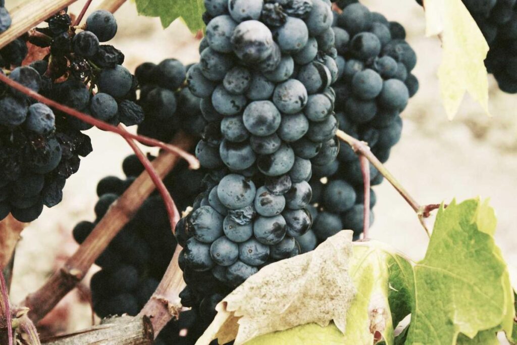 Why Some People Develop Acne Later in Life and Not in Teenage Years - Featured image