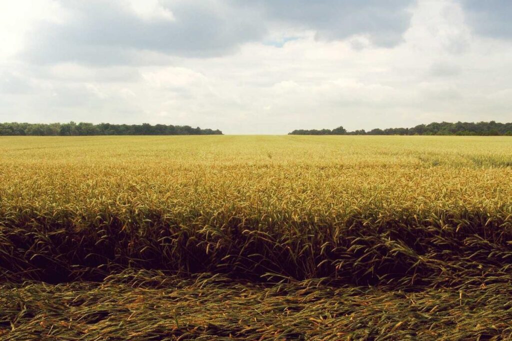 Why Your Acne Flares Up During Stressful Periods and How It Shows - Featured image