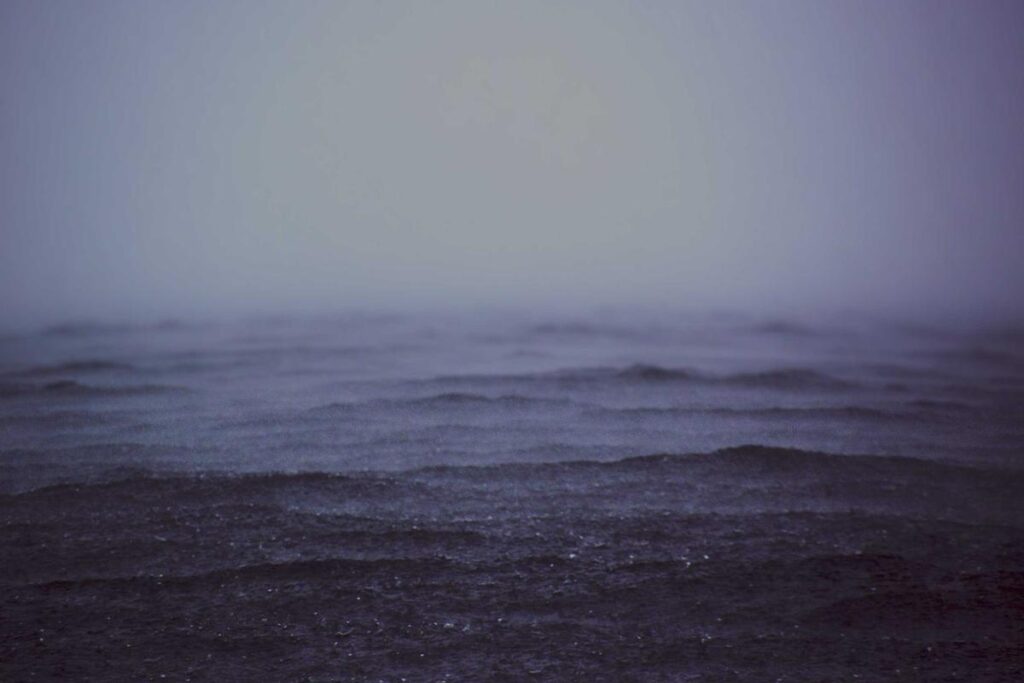 At Least 46% of Patients Have Tried Eliminating Dairy Without Consulting a Doctor or Dietitian First - Featured image