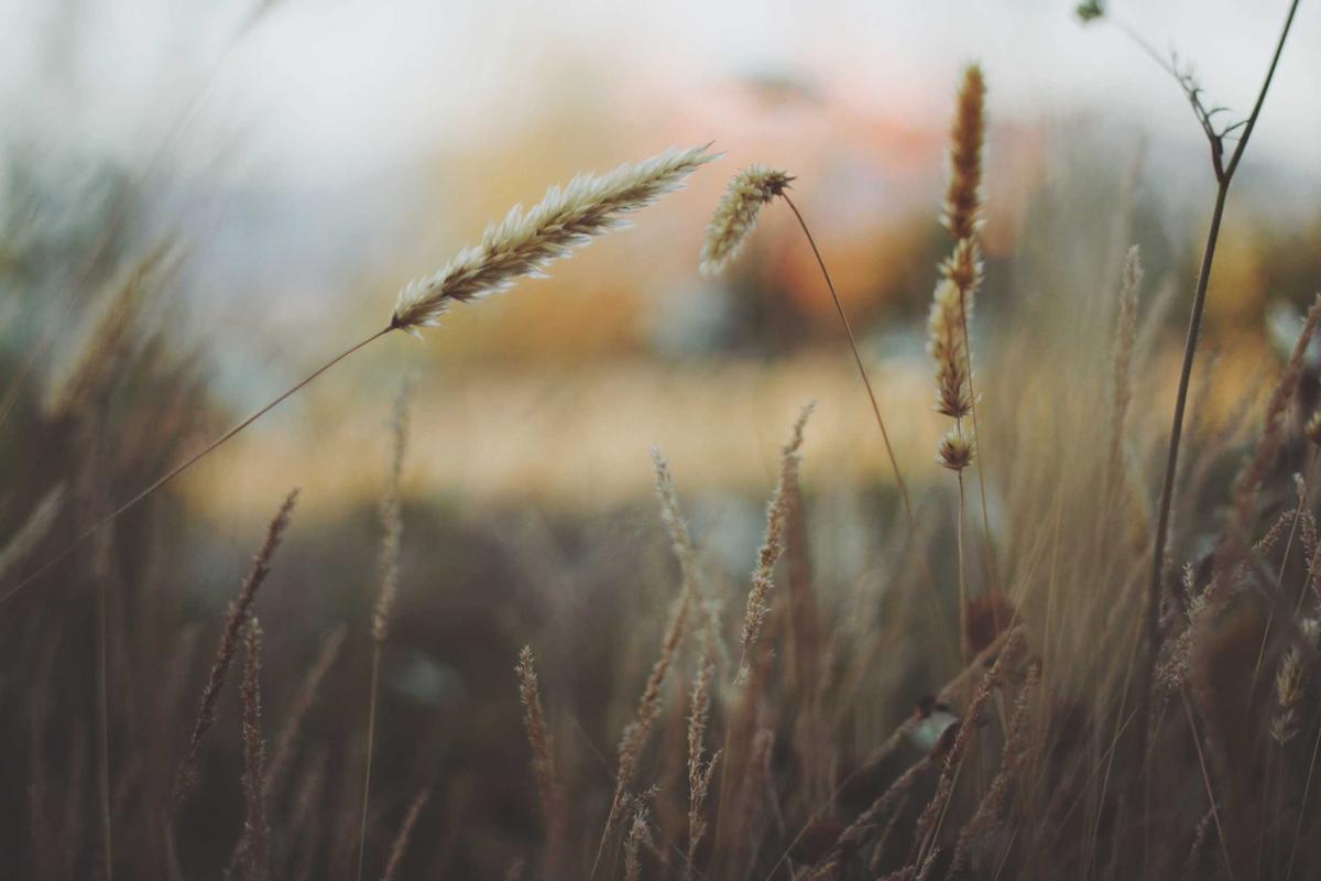 Common Setbacks and Limitations to Prepare For