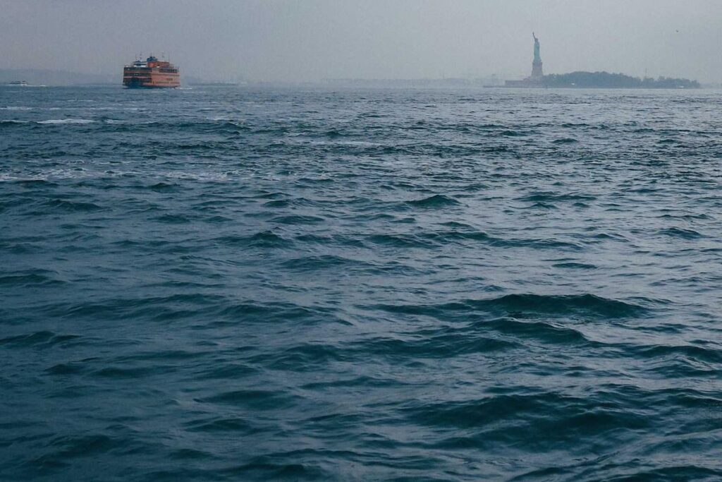 Fact Check: Is Bakuchiol a Good Retinol Alternative for Acne? Early Studies Show Promise but It's Less Potent Than Tretinoin - Featured image