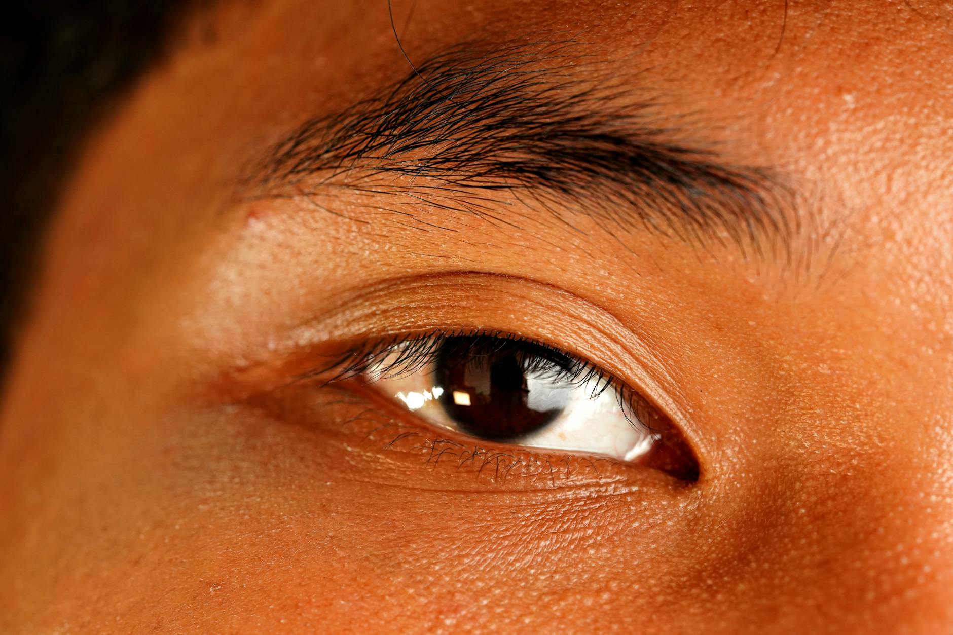 How Do Accutane and Spironolactone Work Differently?