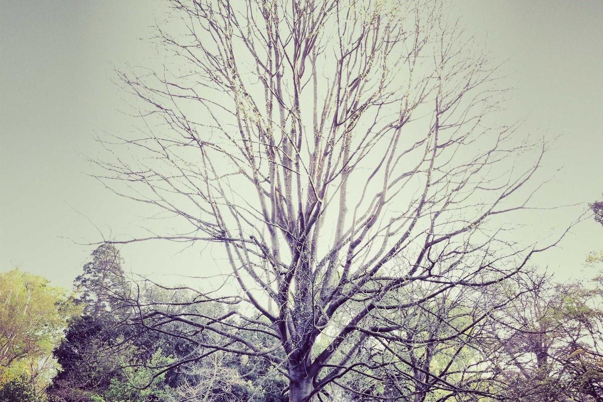 How Quickly Do Acne Product Active Ingredients Actually Break Down?