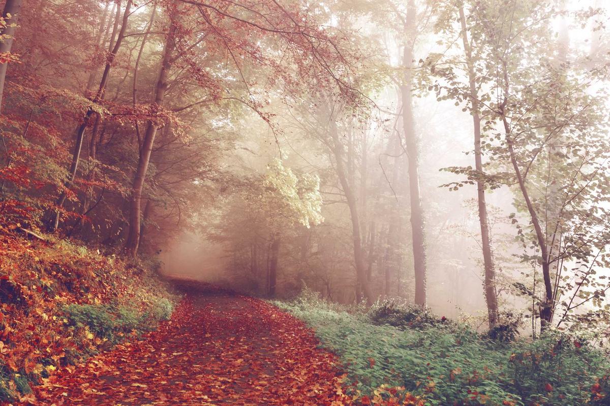 New Study Found Oral Zinc Supplementation Reduced Inflammatory Lesions by 49% Comparable to Doxycycline...Fewer Side Effects Than Antibiotics - Featured image