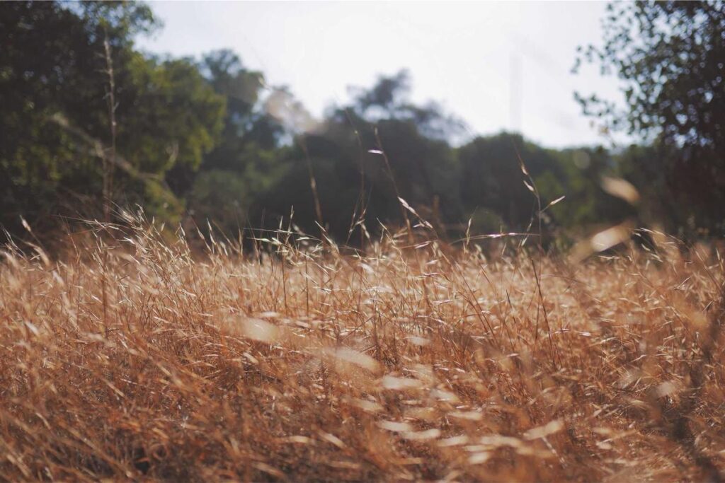 Postpartum Women Are 5x More Likely to Develop Nodular Acne Than the General Population - Featured image