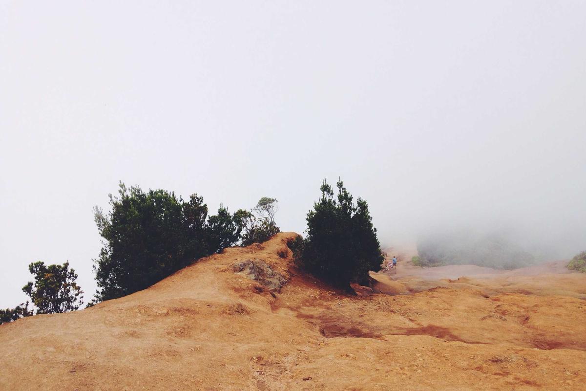 Real Cases: From Diagnosis to Resolution