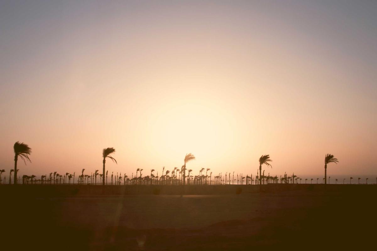 Real Clinical Evidence: What the Data Shows