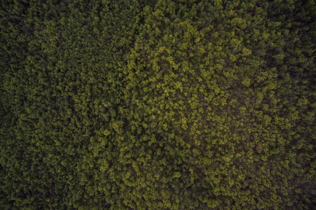 She Developed Acne After Starting Lithium for Bipolar Disorder...Drug-Induced Acne Affects 30% of Lithium Users - Featured image