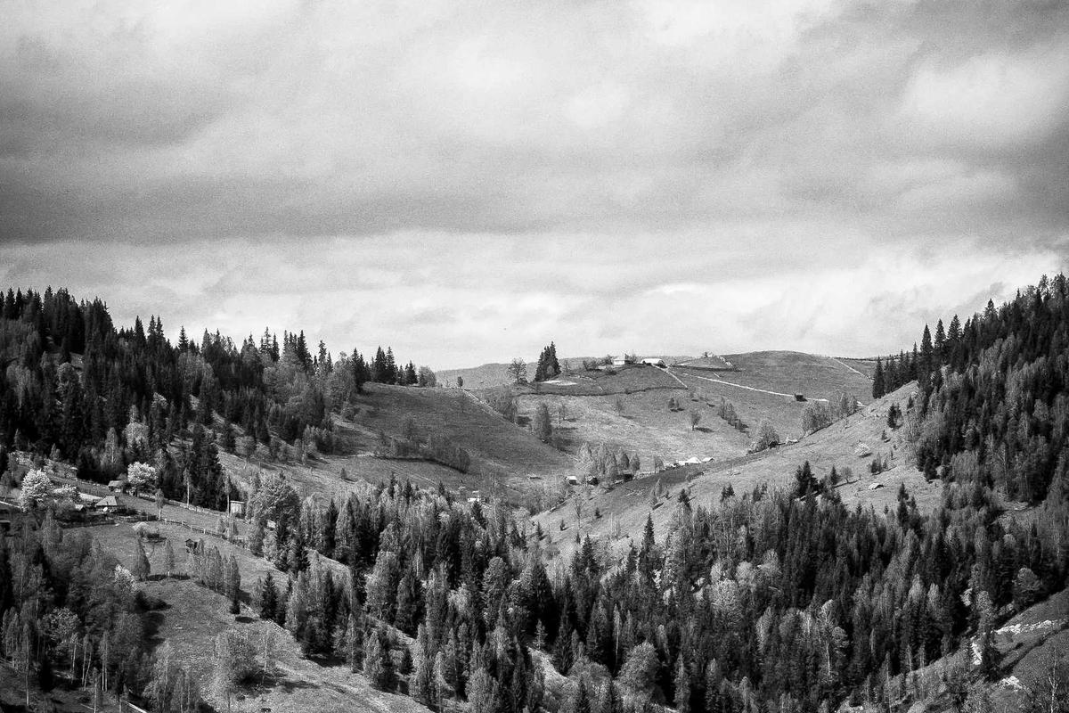 Side Effects and Important Warnings When Combining These Treatments