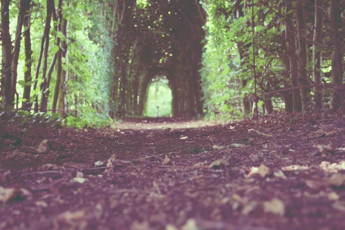 Squalane vs. Squalene: Why the Difference Matters for Your Skin