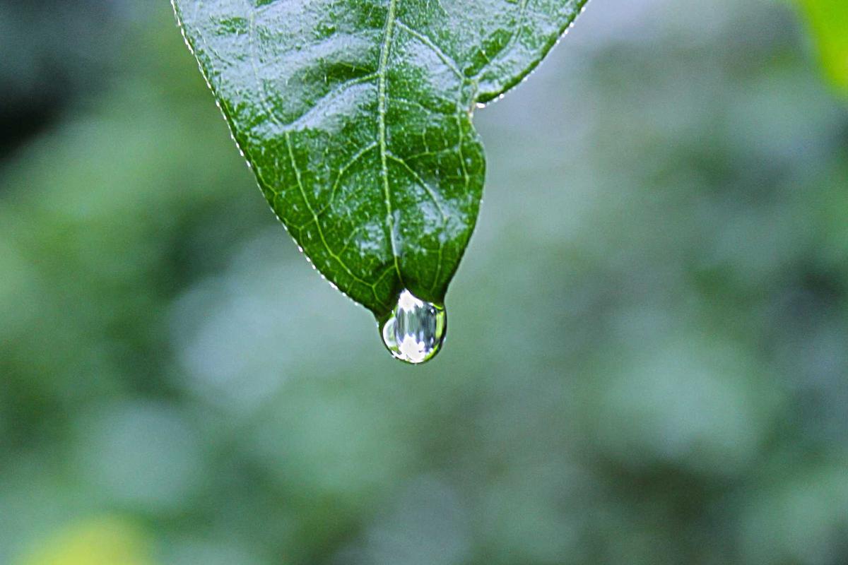 The Critical Limitations—What the Science Doesn't Tell You