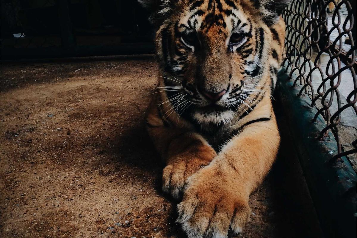 The Power of Combination Therapy for Nodular Acne