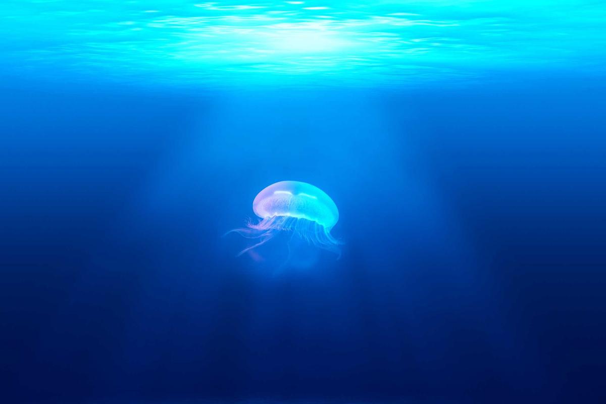 The Role of Water Temperature in Proper Skincare