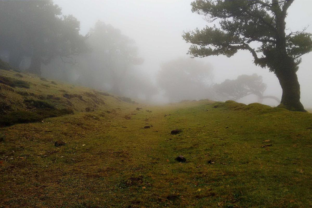 Understanding the $180 Per-Visit Cost Structure