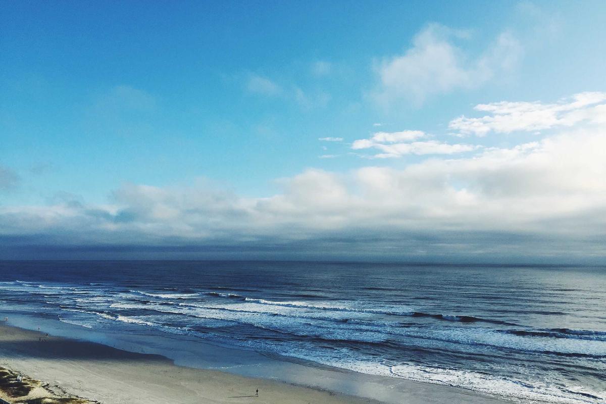 What Cetaphil Gentle Cleanser Actually Does Contain and How It Helps