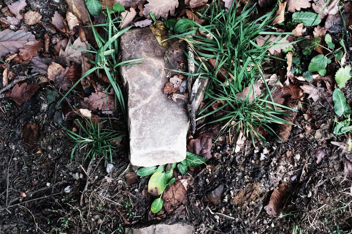 What If Plant Protein Doesn't Clear Your Acne?—Identifying Other Triggers