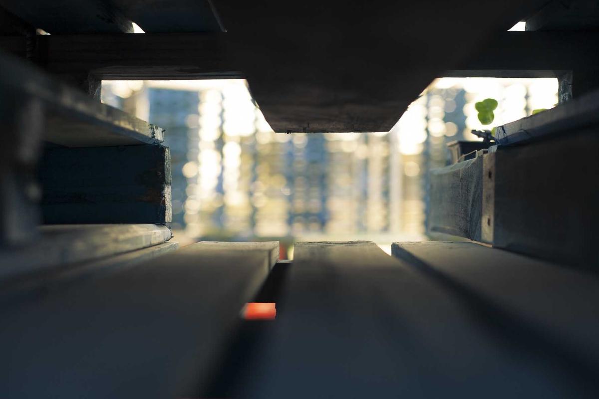 Where Pomade Acne Appears and What It Looks Like