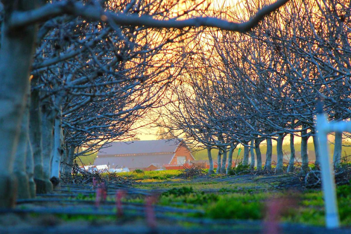 Why Anecdotal Success Stories Don't Equal Evidence