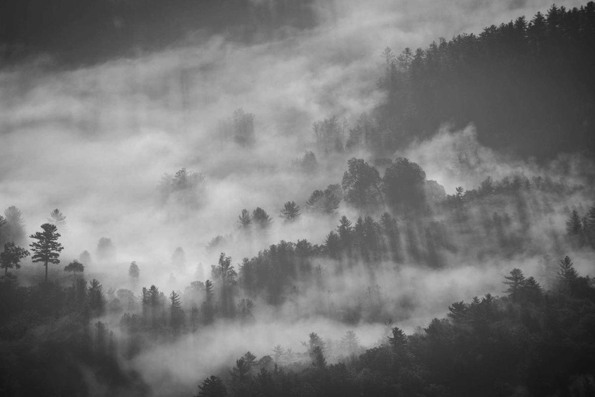 Why Are Patients Underdosing Topical Retinoids and Missing Out on Results?