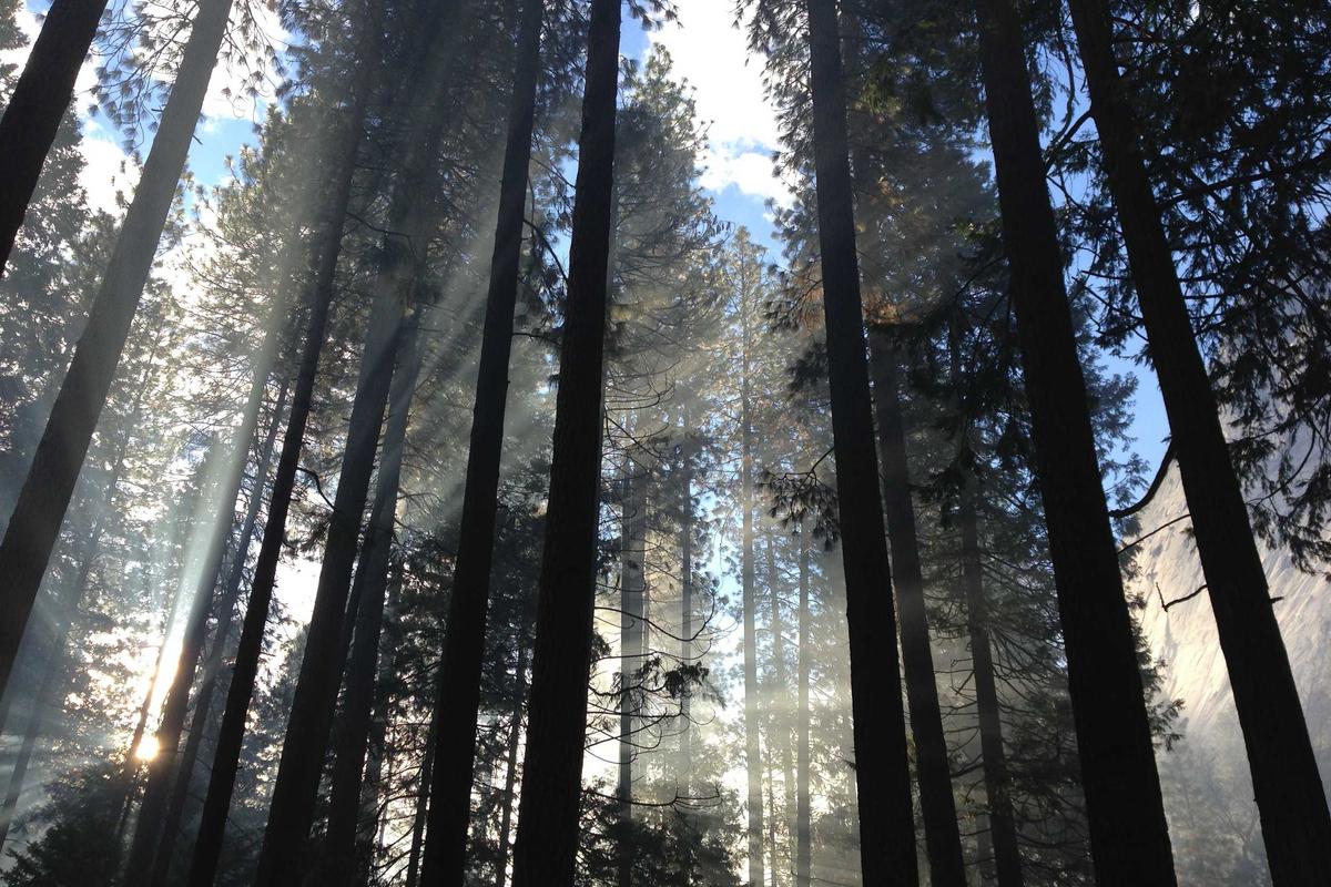 Why Cheek Scars Respond Well to TCA CROSS