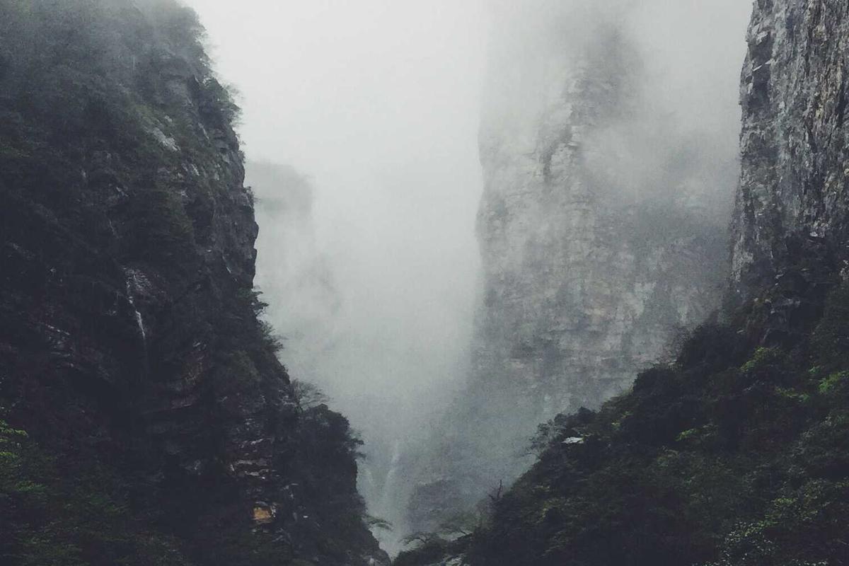 Why Dermatologists Distinguish Between Tea Tree Oil's Preventative and Treatment Roles