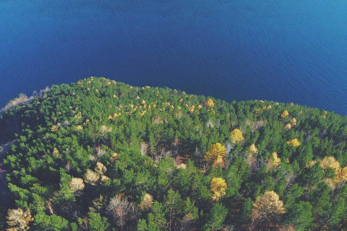 Why Dermatologists Warn Against Crushing Aspirin on Skin