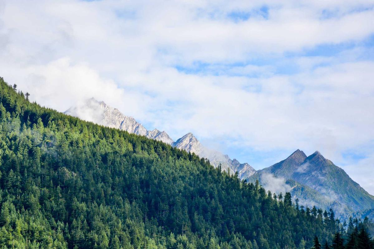 Why Do People Think Tanning Beds Clear Acne?