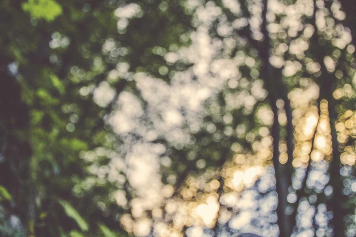 Why Has the Standard Duration for Oral Antibiotics Changed to 3 Months?