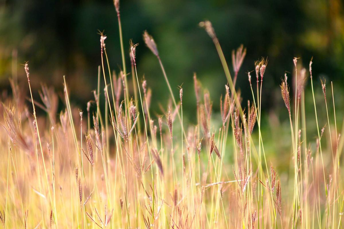 Why Is Clindamycin Phosphate Prescribed So Frequently for Acne?