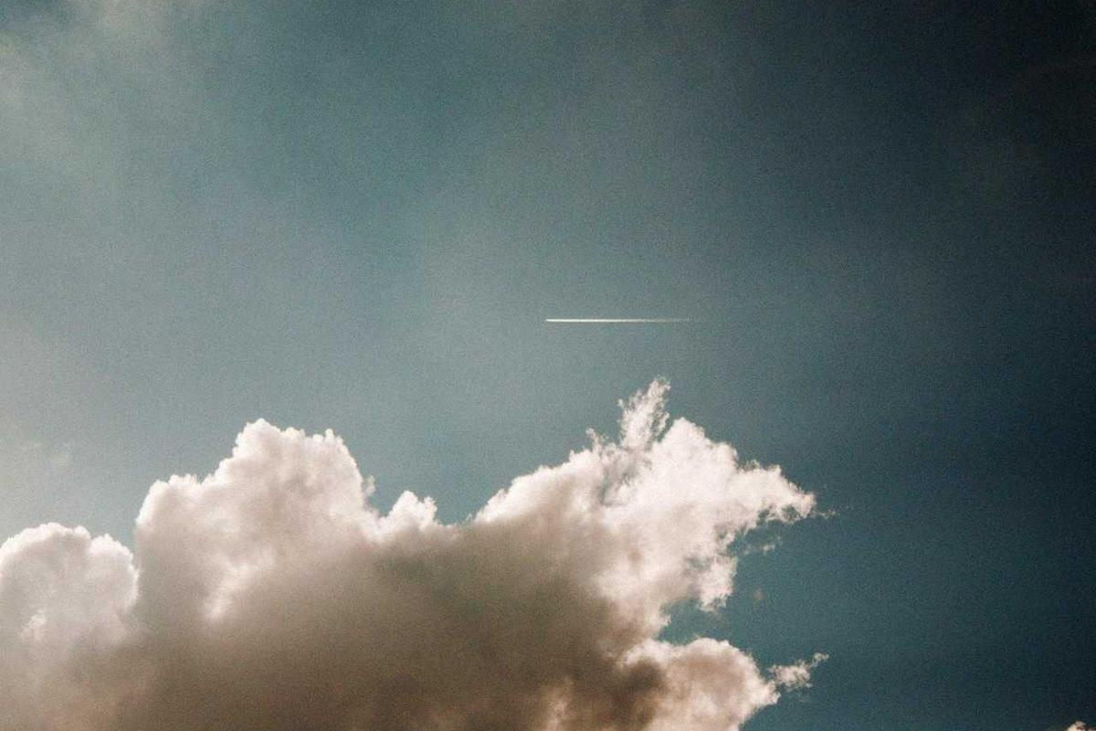 Why Medical Medium's Claims Sound Convincing (But Aren't)