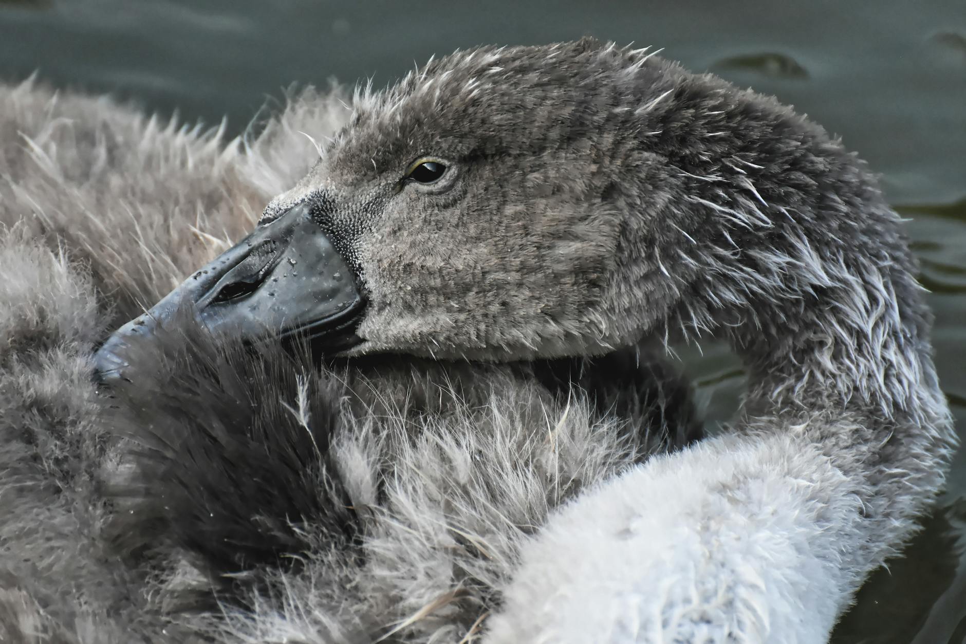 Why So Many Young Adults Never See a Dermatologist for Their Acne