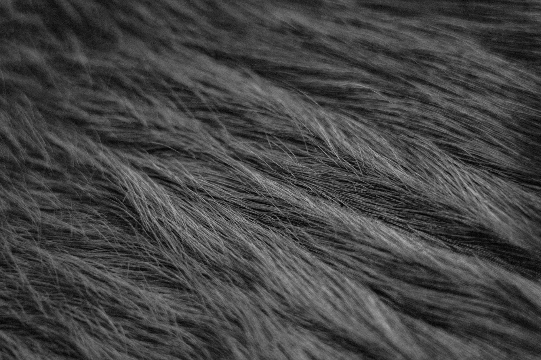 Are Hair Products a Primary Cause of Forehead and Temple Breakouts in Acne-Prone Skin?