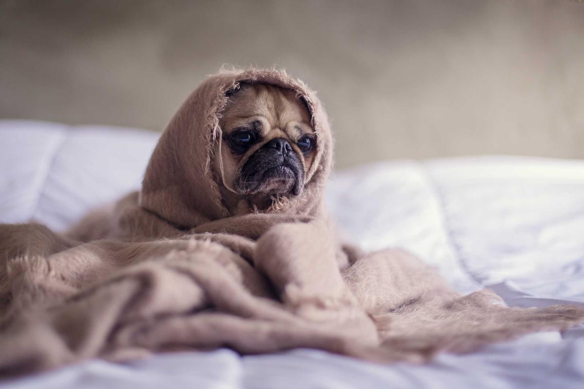 At Least 71% of Skincare Consumers Have Never Been Told That Benzoyl Peroxide at 2.5% Is Just as Effective as 10% - Featured image