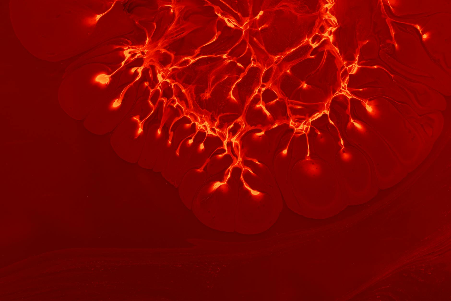 How Does Cortisol Actually Increase Sebum Production in Your Skin?