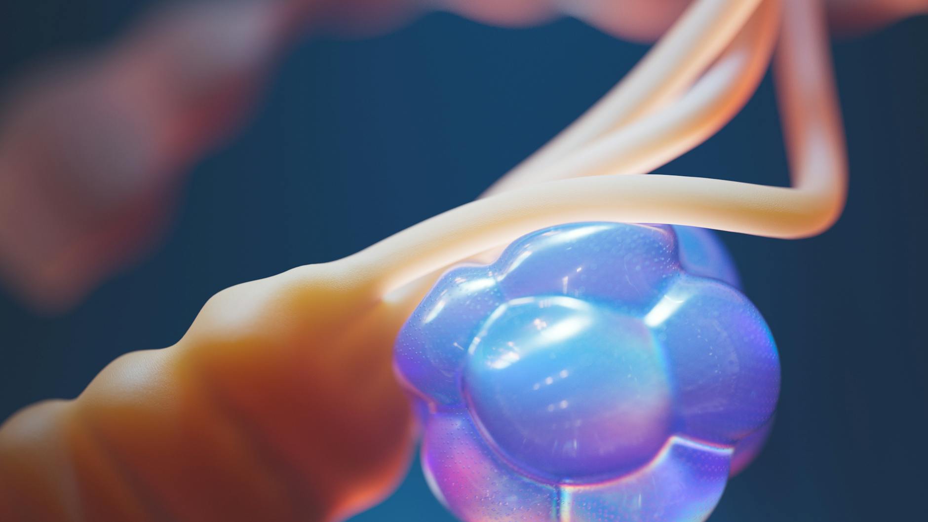 How Does Stress Hormone Cortisol Trigger Sebum Production in Men?