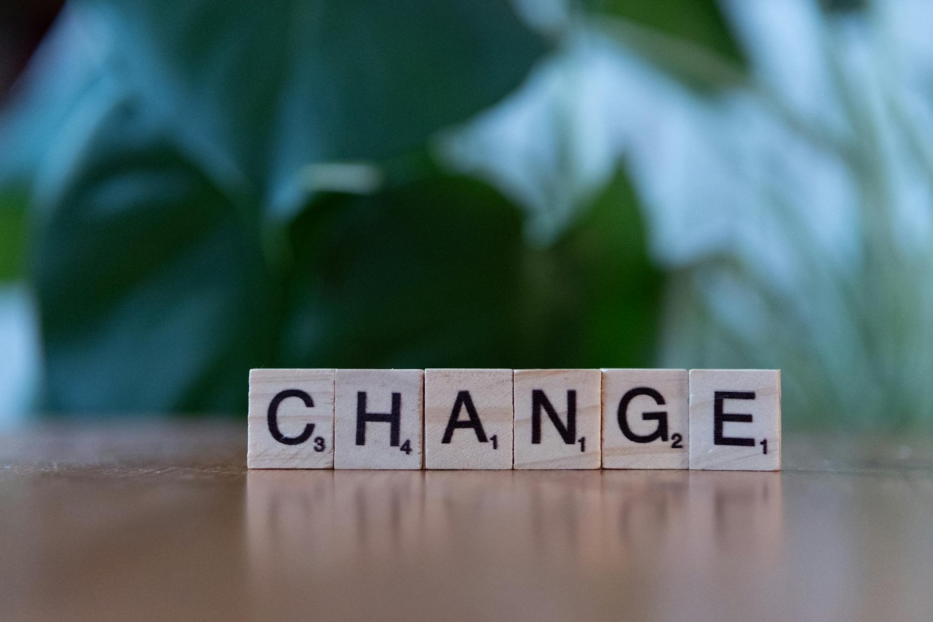 Managing Expectations During the Adjustment Period