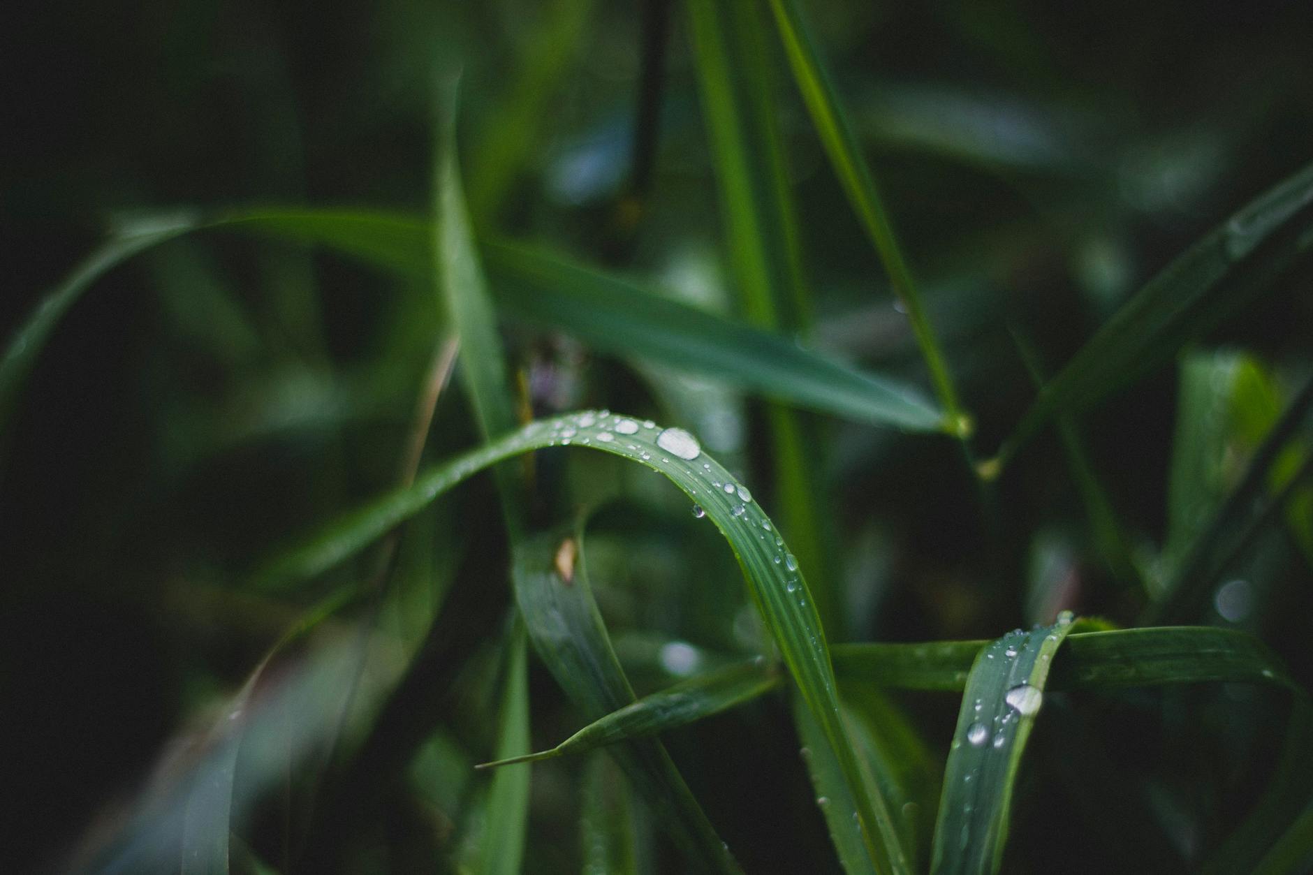 The Friction and Moisture Cycle That Worsens Maskne
