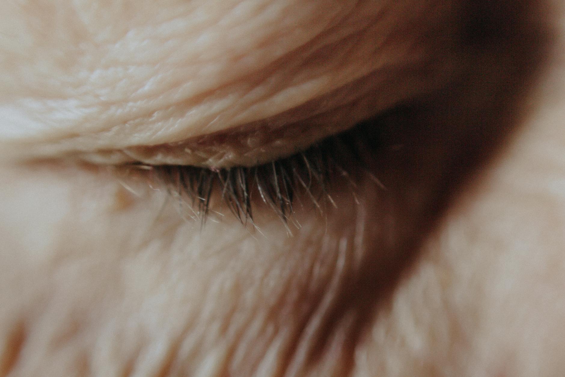 What Does the Eight-Week Belief Mean for Athletes Using Retinoids?