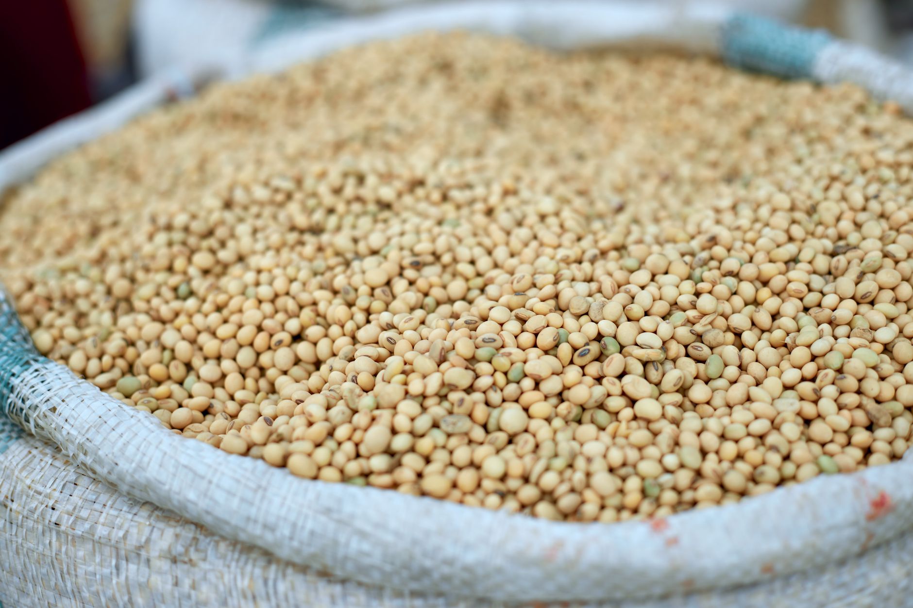 Why Do Certain Protein Powders Trigger Breakouts in Women With Hormonal Acne?