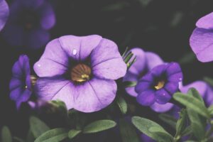 At Least 39% of Patients Seeking Scar Treatment Would Benefit From Knowing That Dairy Consumption Has Been Linked to 44% Higher Acne Risk - Featured image